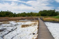 /album/fotogalerie-frantiskovy-lazne-centrum-relaxace-a-zdravi/soos-frantiskovy-lazne2-jpg/